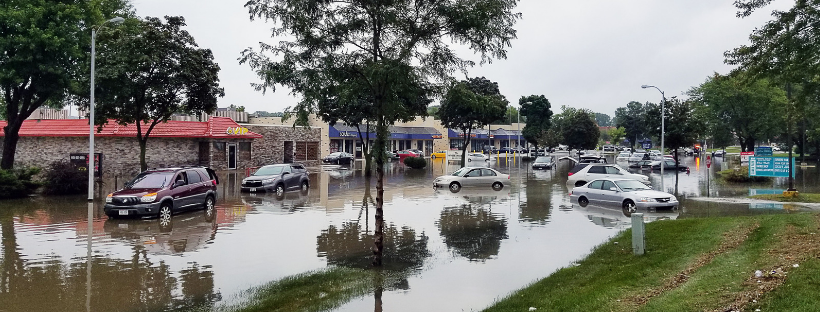 cars in flooded parking lot